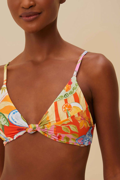 FARM Rio Multicolor Summer Picnic Knot Bikini Top